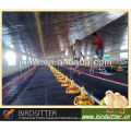 birdsitter ISO9001 qualified automatic broiler rate chicken house design